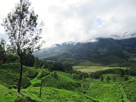 Photo of Munnar The Perfect Family Holiday Destination by Mridula Iyengar