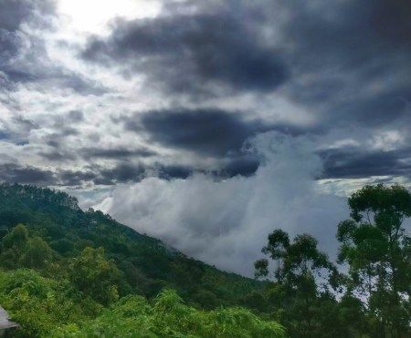 Photo of Munnar The Perfect Family Holiday Destination 1/4 by Mridula Iyengar