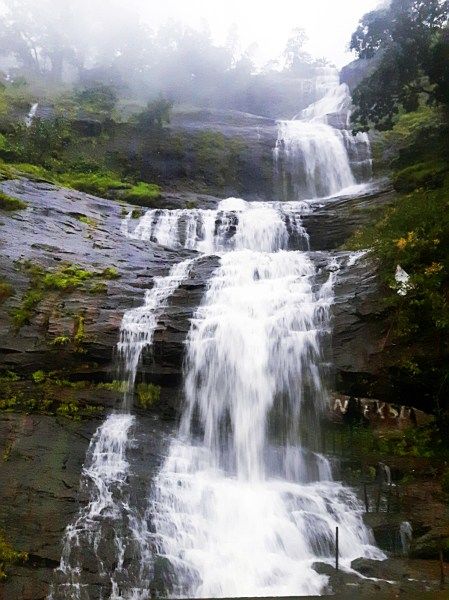 Photo of Munnar The Perfect Family Holiday Destination 2/4 by Mridula Iyengar