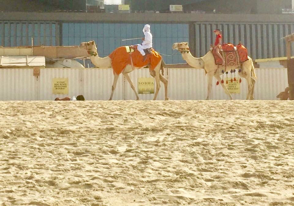 Photo of Dubai Itinerary From A Resident! by Yukti Arora