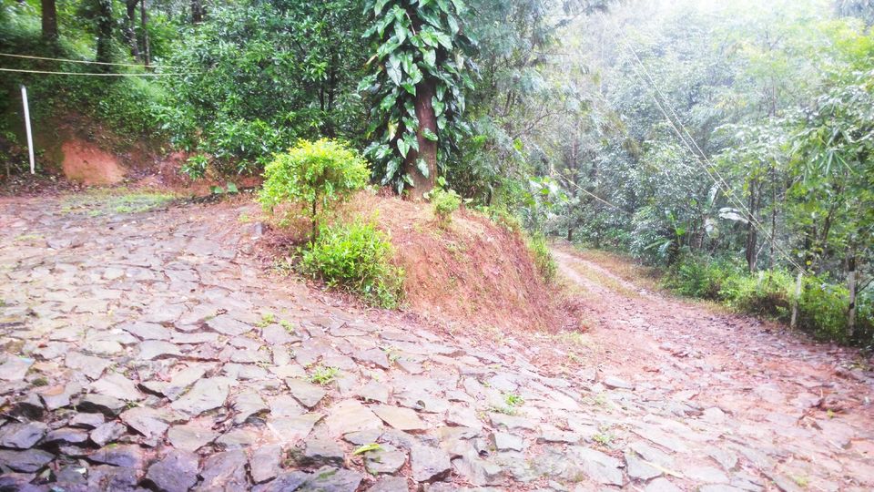 Photo of Looking For An Estate Stay In Coorg? This Is Where You Need To Be! 3/5 by Nidhi Lohia