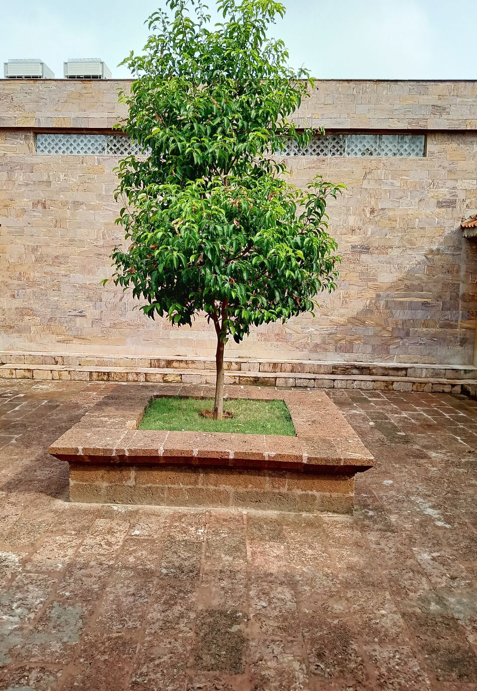 Photo of Combination of THIS Museum & Bhubaneswar Is Highly Enriching: Featuring KALA BHOOMI 6/8 by Nidhi Lohia