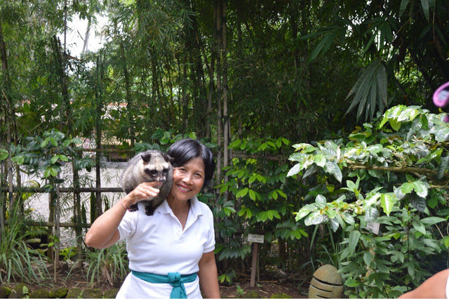 Photo of Travel Diaries #Part2 : BALI by Ashima Simlot