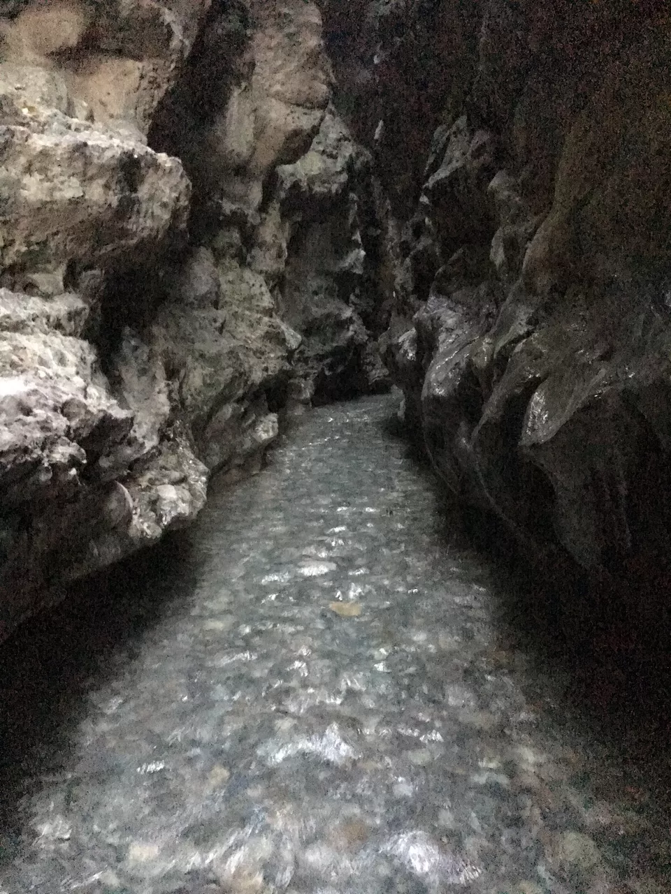 Photo of Robber's Cave Guchhupani, Malsi, Dehradun, Uttarakhand, India by Ragul P G