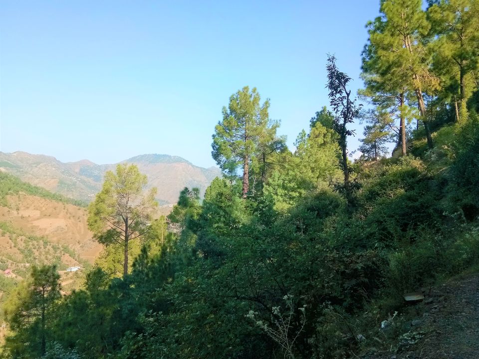 Photo of Shimla, Himachal Pradesh, India by Ragul P G