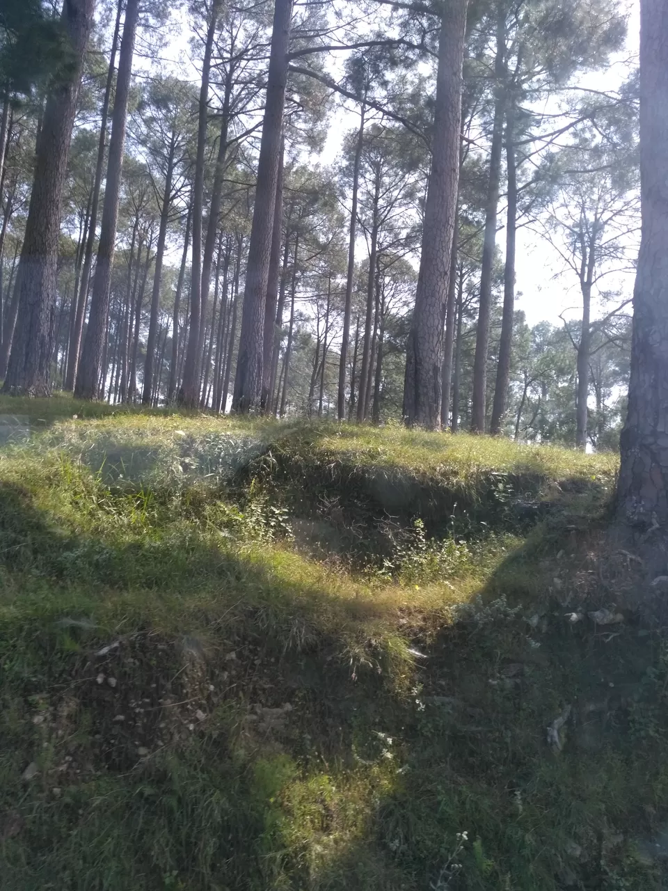 Photo of Kumaon Switzerland- Kausani by Chitraarth Bhardwaj