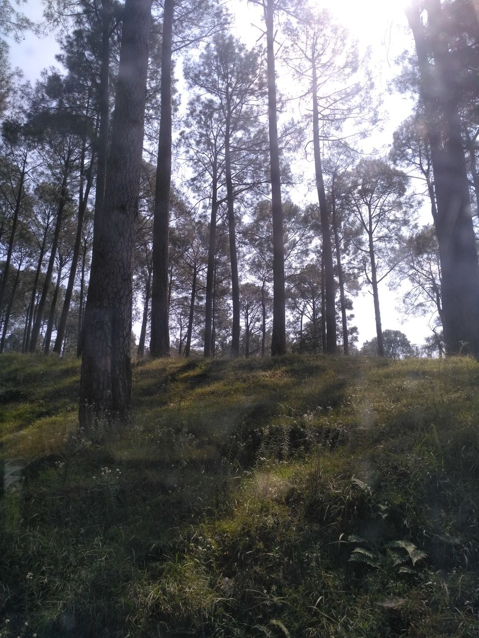 Photo of Kumaon Switzerland- Kausani by Chitraarth Bhardwaj