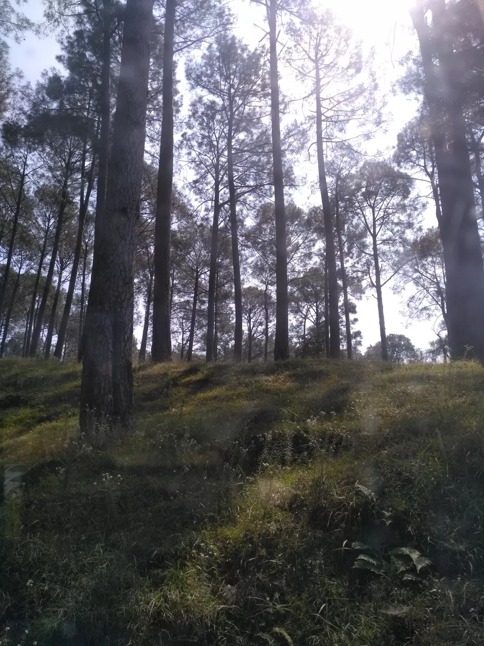 Photo of Kumaon Switzerland- Kausani by Chitraarth Bhardwaj