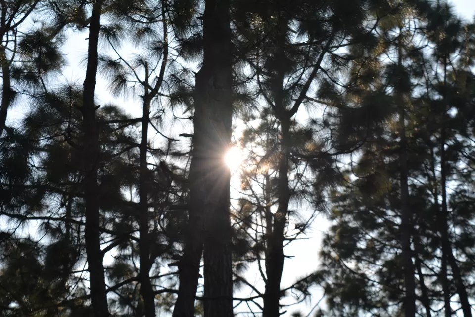 Photo of Bhimtal, Uttarakhand, India by Chitraarth Bhardwaj