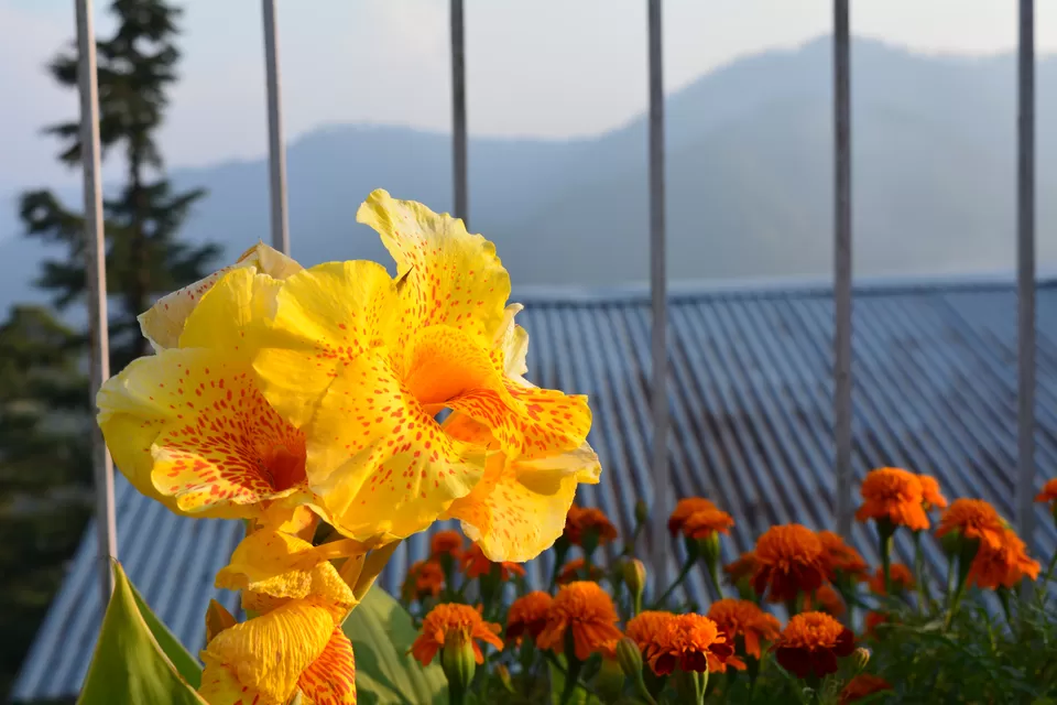 Photo of Kumaon Switzerland- Kausani by Chitraarth Bhardwaj
