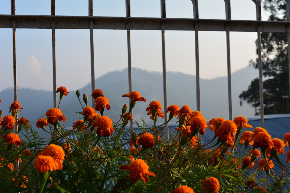 Photo of Kumaon Switzerland- Kausani by Chitraarth Bhardwaj