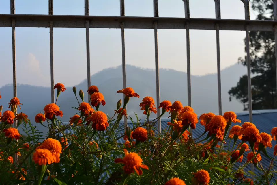 Photo of Kumaon Switzerland- Kausani by Chitraarth Bhardwaj
