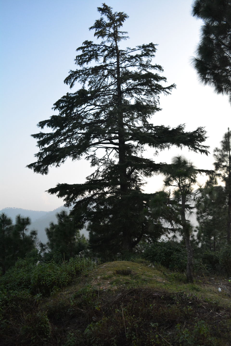 Photo of Kumaon Switzerland- Kausani by Chitraarth Bhardwaj