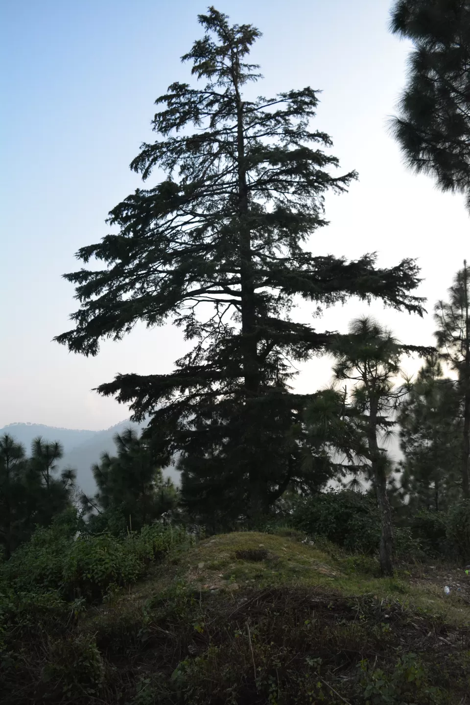 Photo of Kumaon Switzerland- Kausani by Chitraarth Bhardwaj