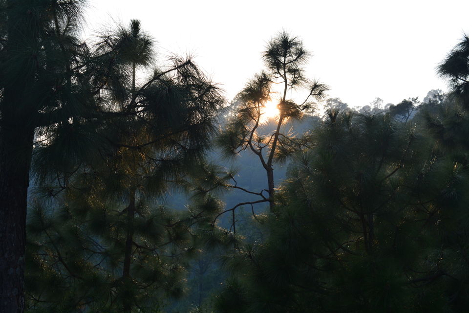Photo of Kumaon Switzerland- Kausani by Chitraarth Bhardwaj