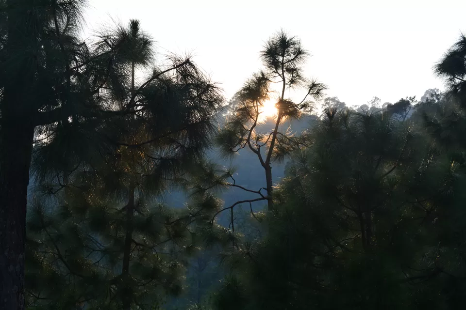 Photo of Kumaon Switzerland- Kausani by Chitraarth Bhardwaj