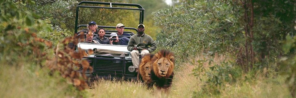 Photo of Enjoy the beauty of nature and have a comfortable stay at sabi sands 1/1 by Sabi Sands Lodges Reservations