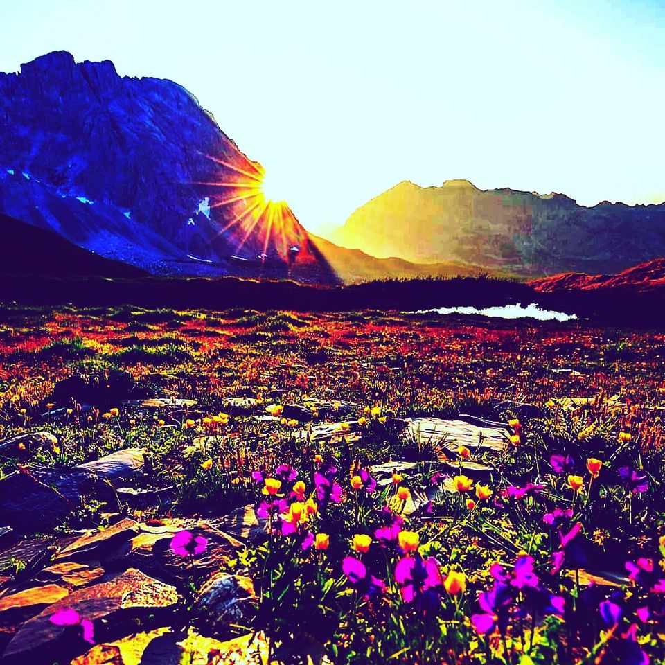 Photo of Valley of Flowers National Park, Uttarakhand, India by talesbytalz