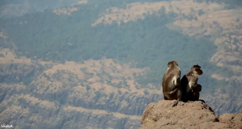 Photo of Lion Point, Dattawadi Road, Lonavala, Maharashtra, India by Shalu Khandelwal