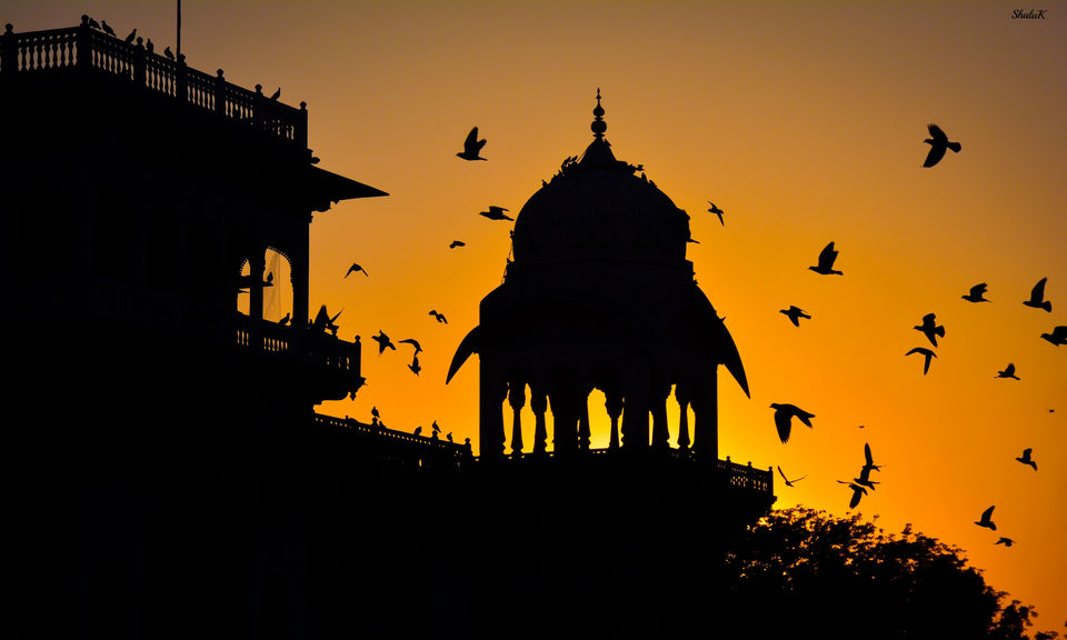 Photo of 7 Surprising Facts That Will Change The Way You Look At Jaipur 1/7 by Shalu Khandelwal