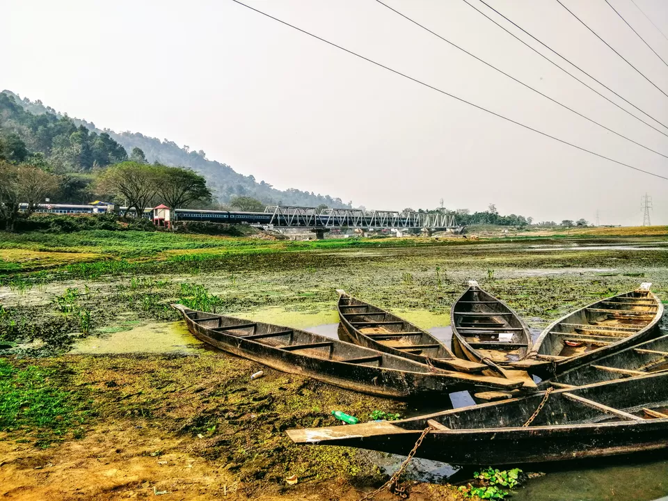 Photo of Deepor Beel Birds Sanctuary, Guwahati, Assam by Richa Ingle Deo