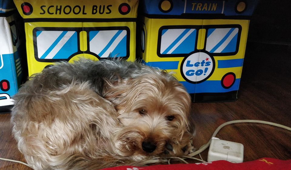 Photo of Choo Choo goes the train - A photo blog of Train journey with family #trainjourney by Richa Ingle Deo