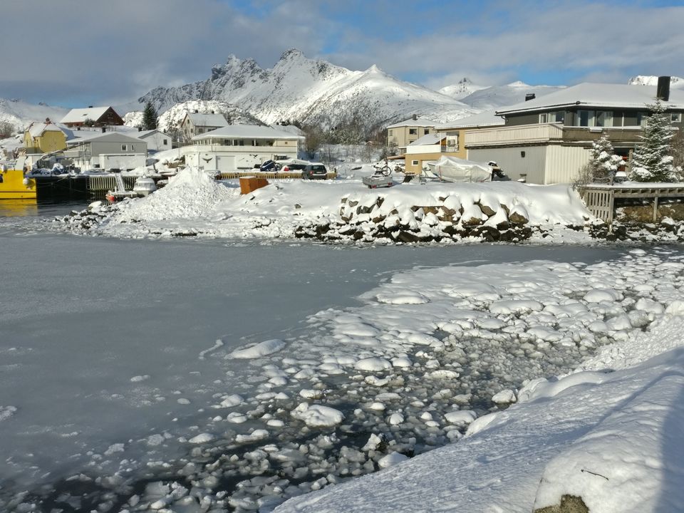 Photo of Lofoten diaries... by Rwittick Dutta