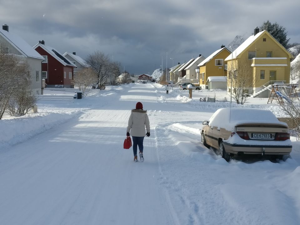 Photo of Lofoten diaries... by Rwittick Dutta