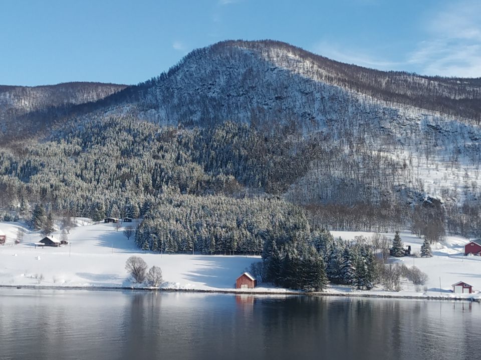 Photo of 2 reasons to Visit Tromso... 1 mainstream, another offbeat by Rwittick Dutta
