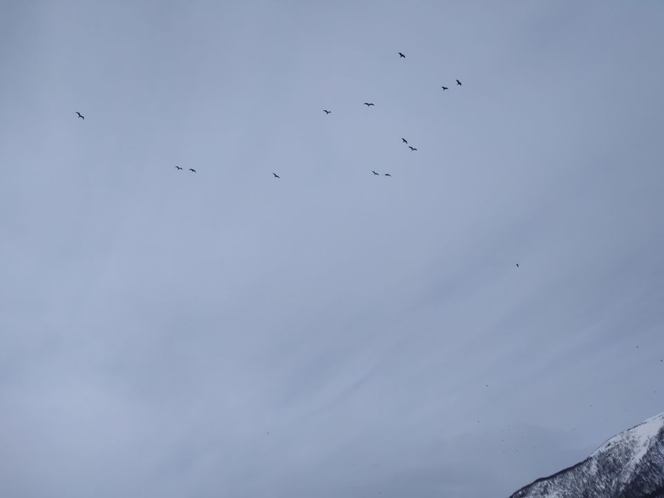 Photo of Tromsø, Norway by Rwittick Dutta