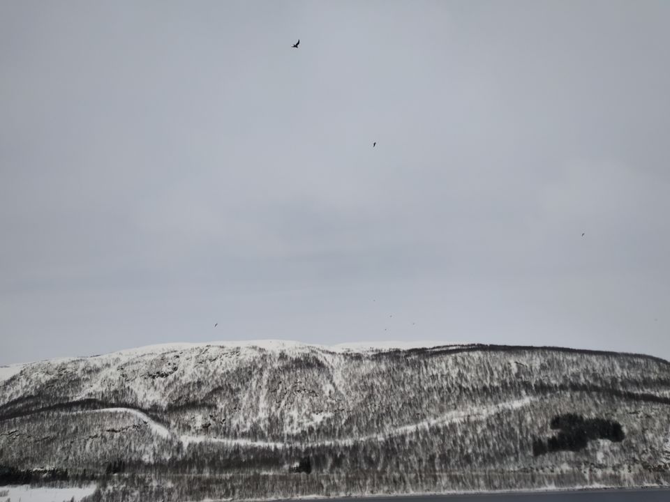 Photo of Tromsø, Norway by Rwittick Dutta