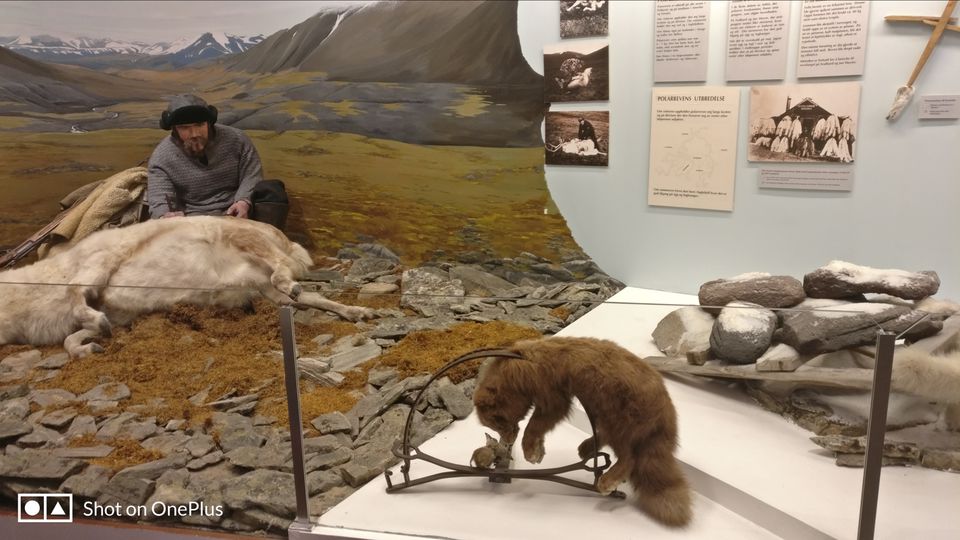 Photo of Tromsø, Norway by Rwittick Dutta