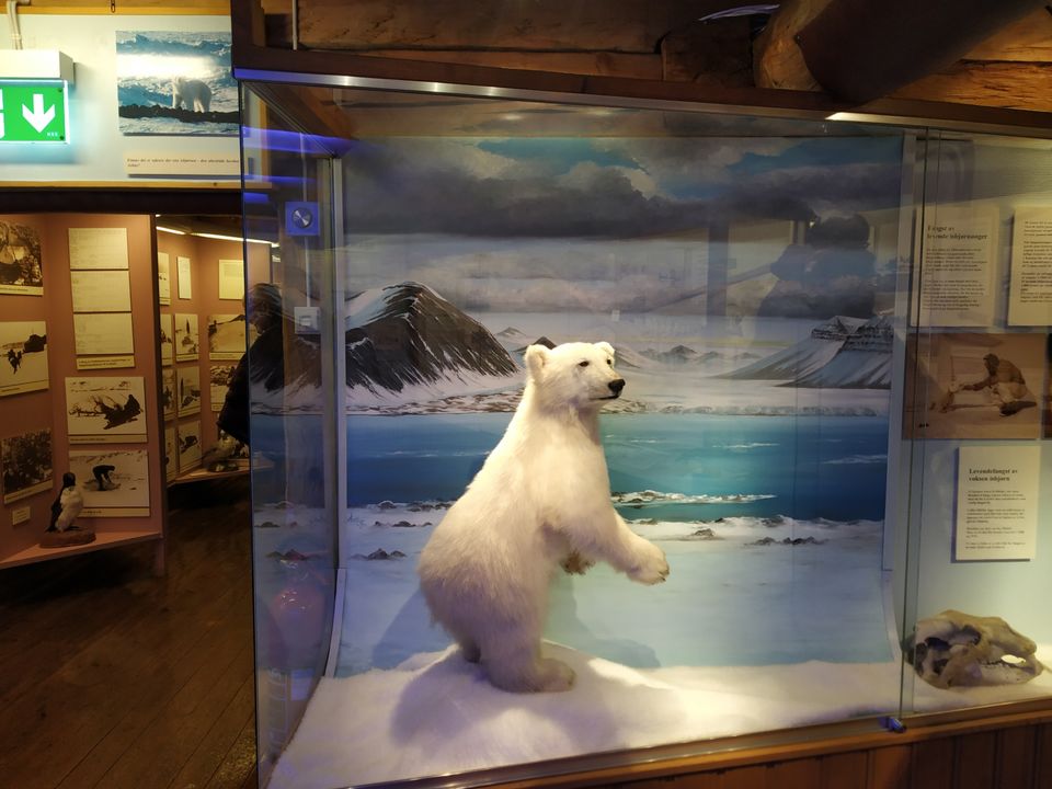 Photo of Tromsø, Norway by Rwittick Dutta