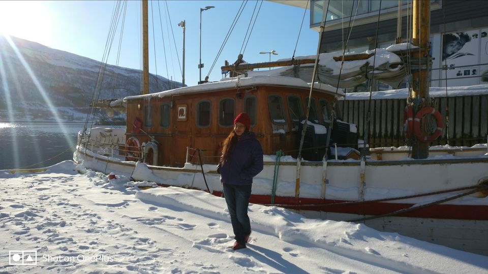 Photo of Tromso's arctic twins- Polaria and Cathedral by Rwittick Dutta