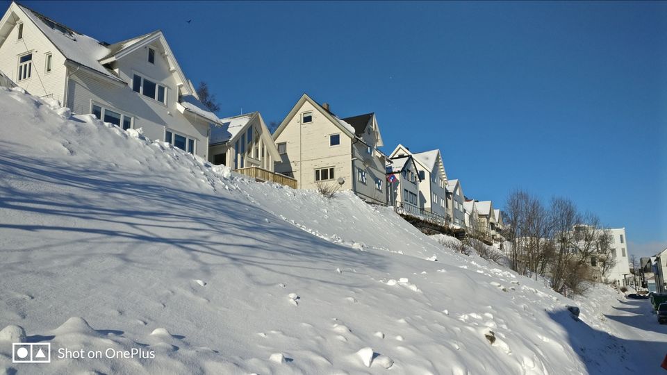 Photo of Tromso's arctic twins- Polaria and Cathedral by Rwittick Dutta