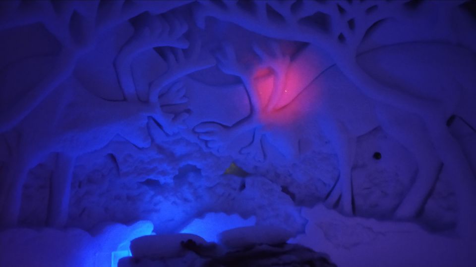 Photo of Tromso Ice Domes- A marvel carved in ice by Rwittick Dutta