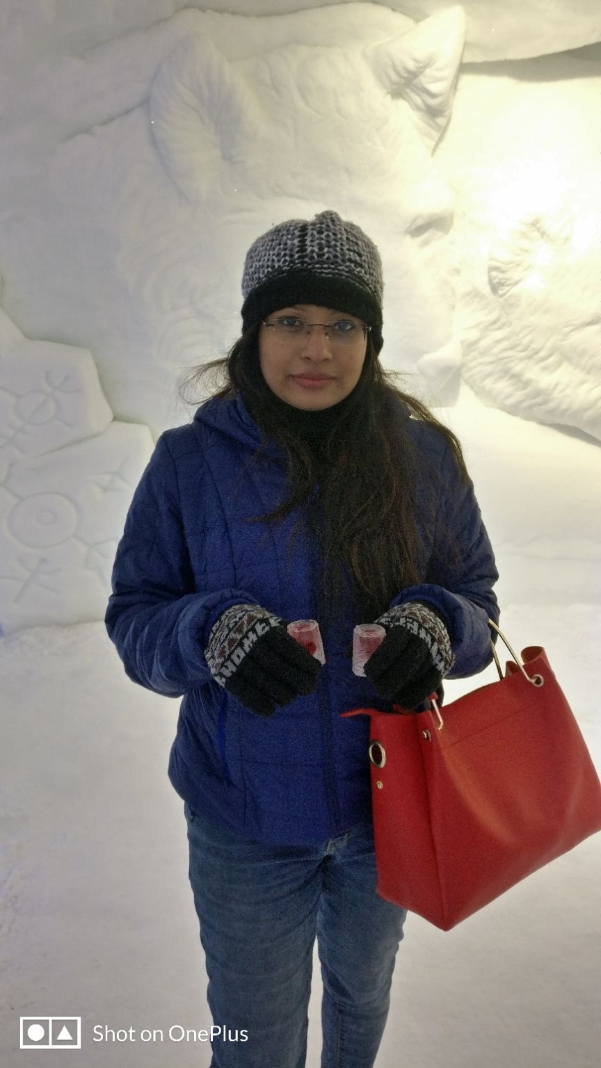 Photo of Tromso Ice Domes- A marvel carved in ice by Rwittick Dutta