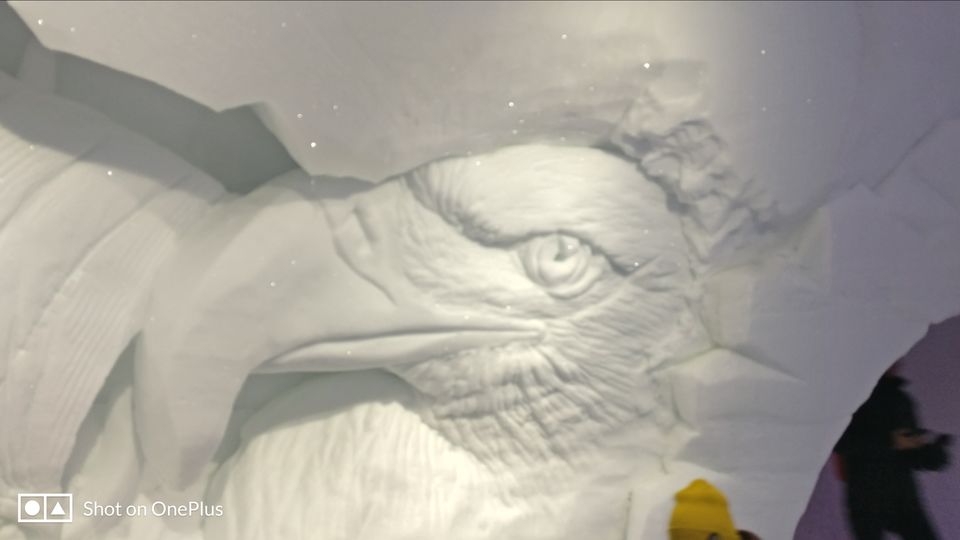 Photo of Tromso Ice Domes- A marvel carved in ice by Rwittick Dutta