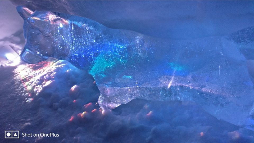 Photo of Tromso Ice Domes- A marvel carved in ice by Rwittick Dutta