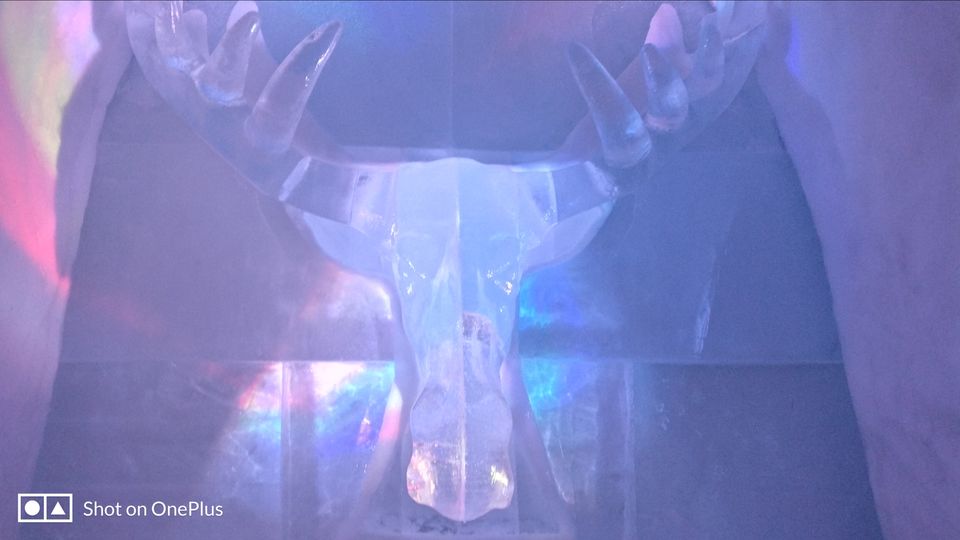 Photo of Tromso Ice Domes- A marvel carved in ice by Rwittick Dutta
