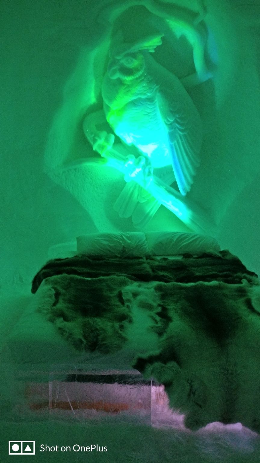 Photo of Tromso Ice Domes- A marvel carved in ice by Rwittick Dutta