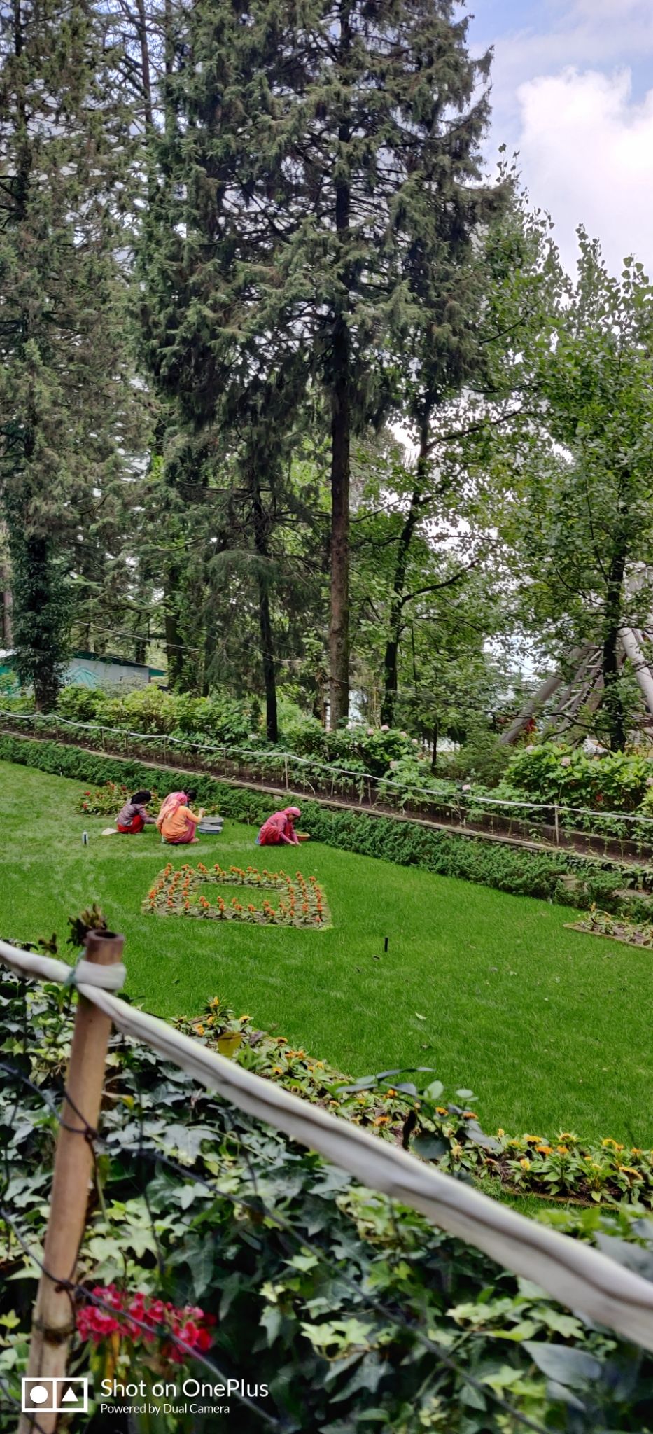 Photo of Mussoorie, Uttarakhand, India by Rwittick Dutta