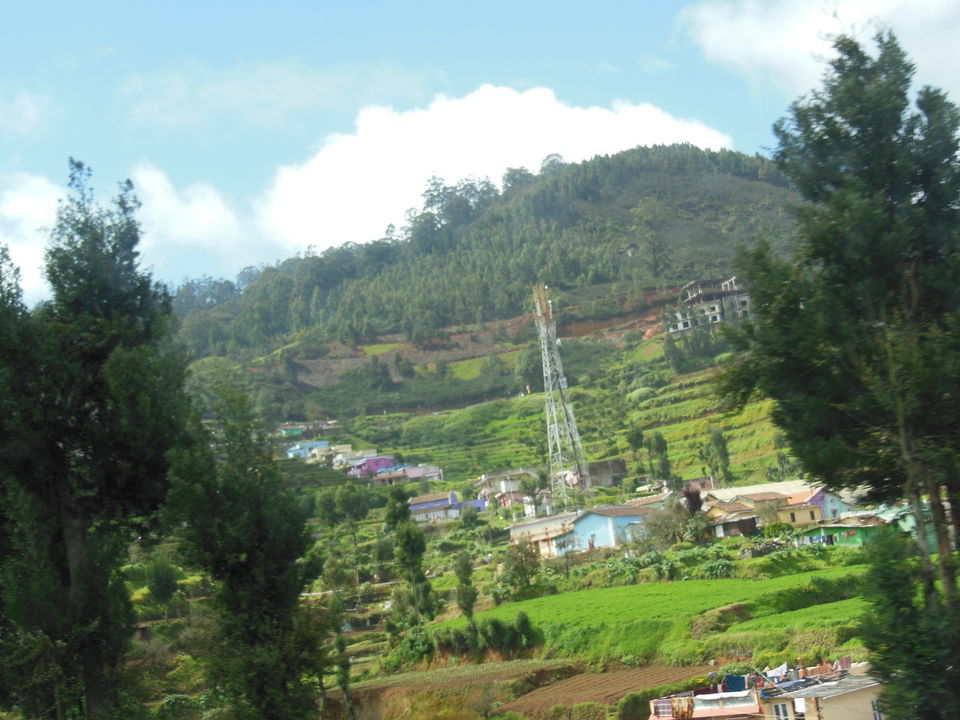 Photo of Ooty, Tamil Nadu, India by PavanKumar
