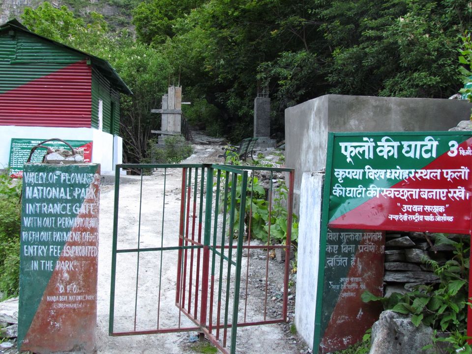 Photo of Gangharia by PavanKumar