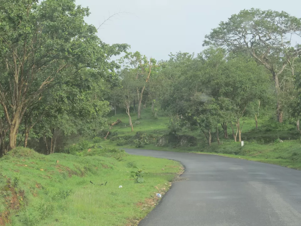 Photo of Bandipur National Park, Chamarajanagar, Karnataka, India by PavanKumar