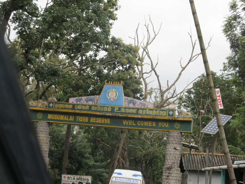 Photo of Ooty, Tamil Nadu, India by PavanKumar