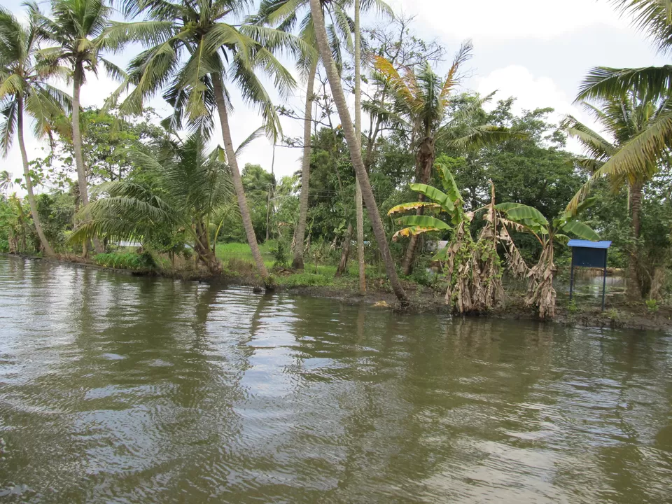 Photo of Alappuzha, Kerala, India by PavanKumar