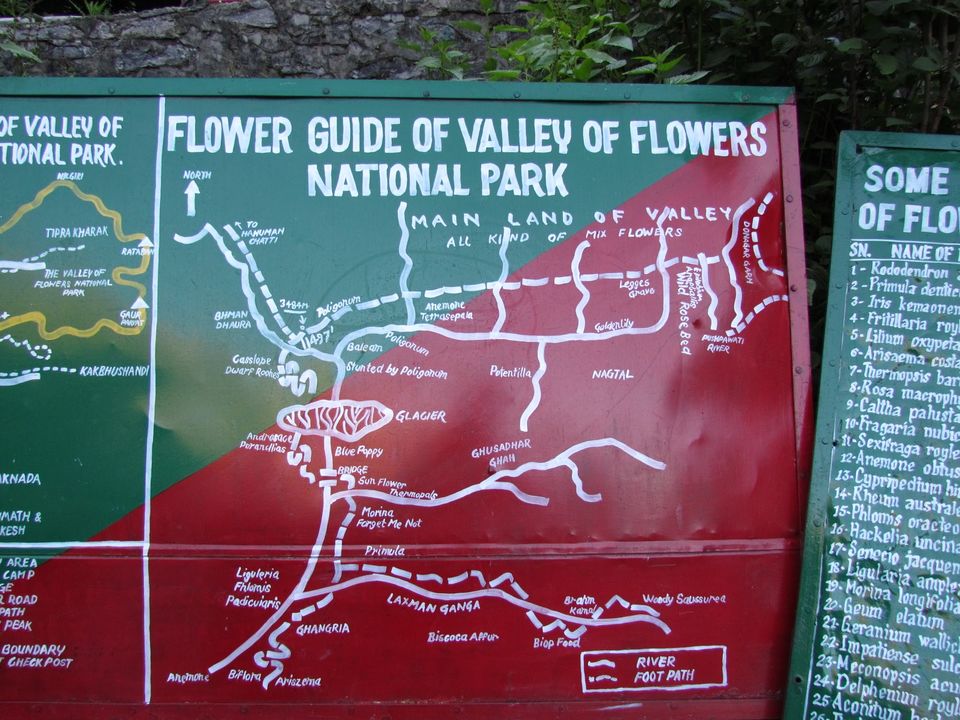 Photo of Badrinath - Valley of Flowers - Agra 69/69 by PavanKumar