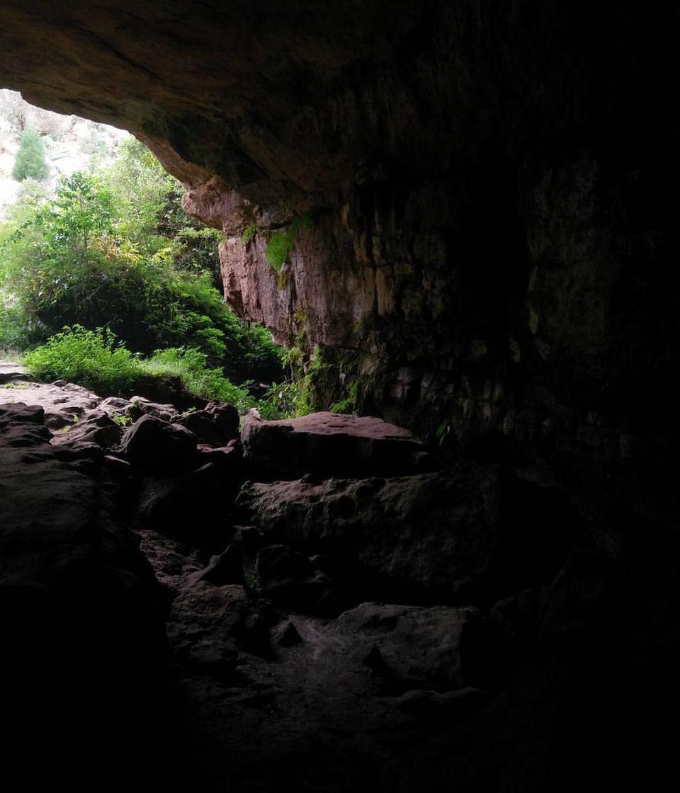 Photo of The Devil's Abode : Unspoken Secrets from the Wettest Place on the Planet. by TerraQuest Expeditions