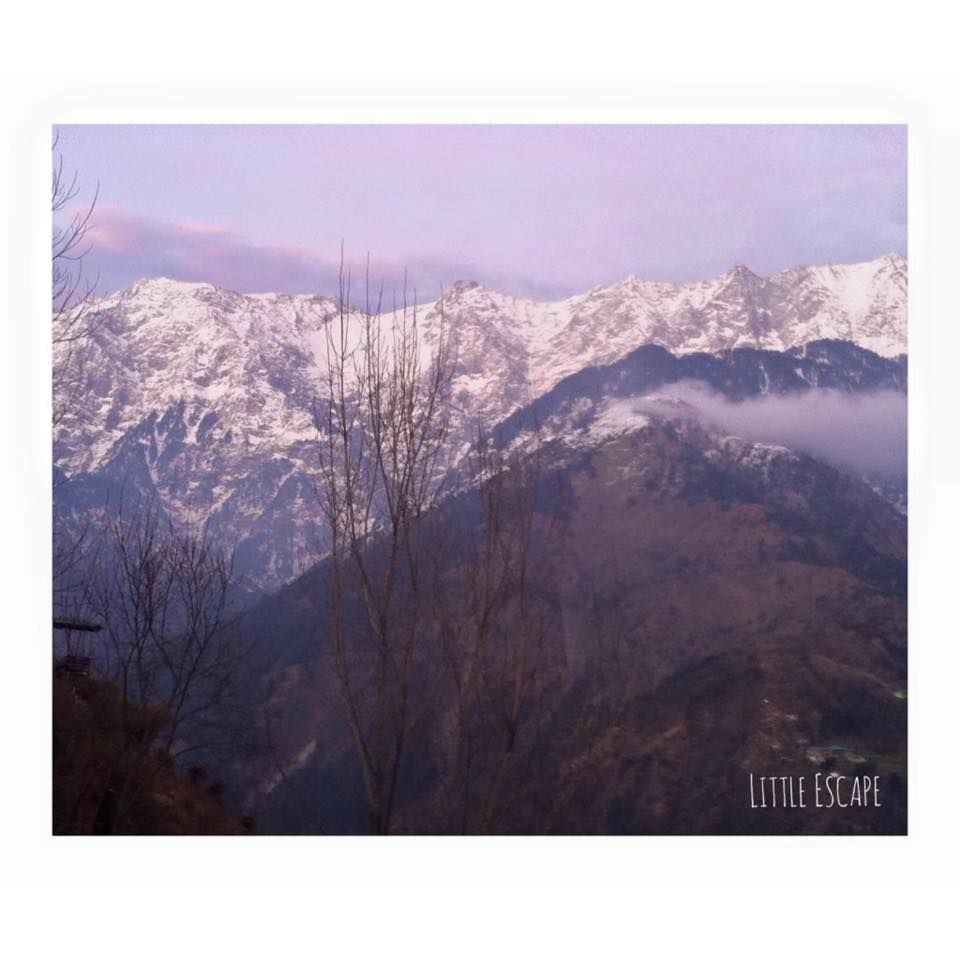 Photo of Trail to Triund Hill, McLeod Ganj, Dharamshala, Himachal Pradesh 3/7 by Priyal Gaur